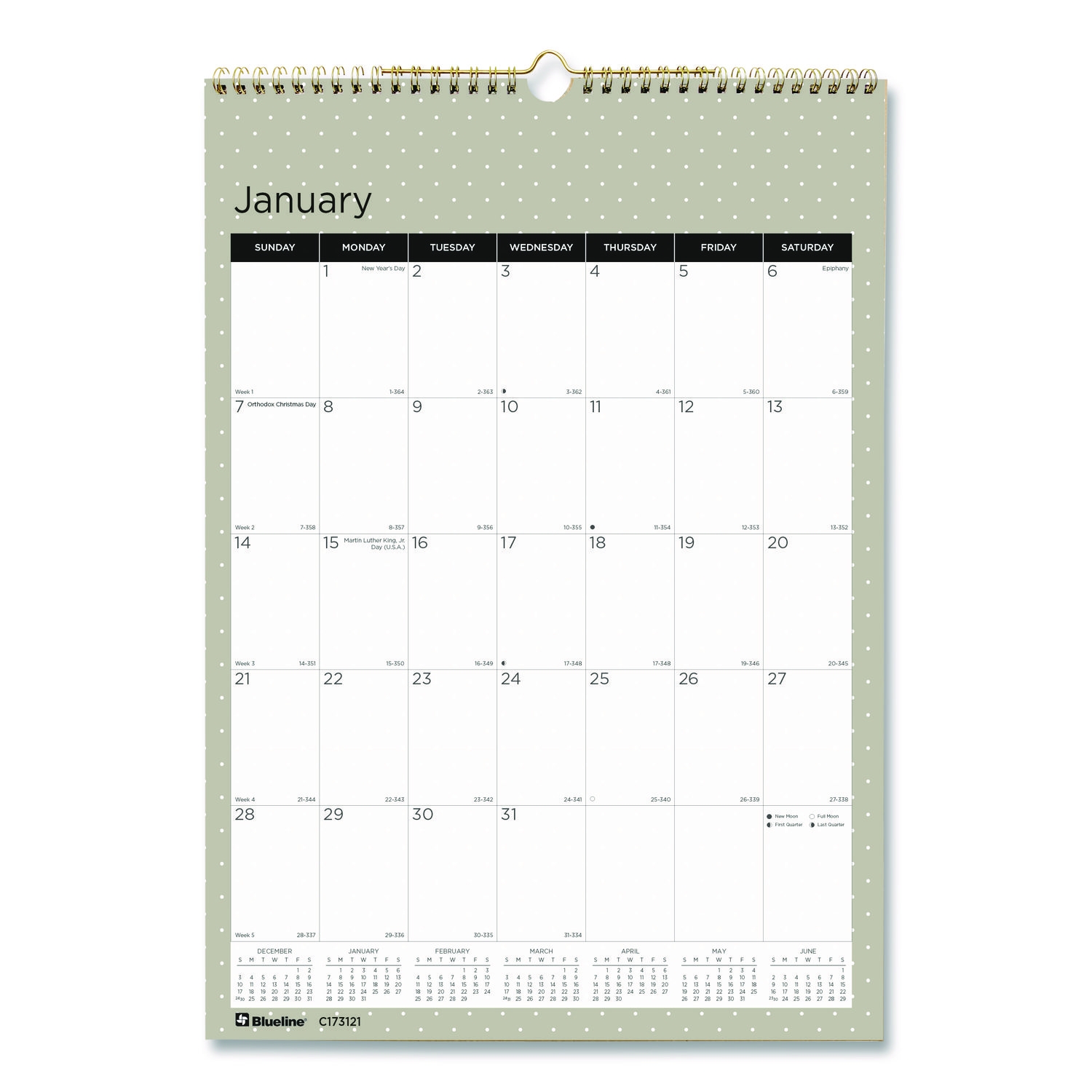 12 Month Wall Calendar Succulent Plants Photography 12 X 17 White Multicolor Sheets 12 Month Jan To Dec 2025 ASE Direct