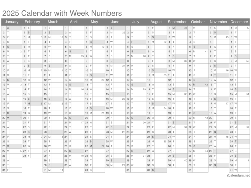 2025 Printable Calendar PDF Or Excel