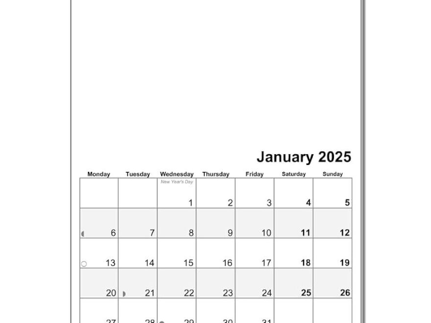 A4 Wire Bound 2025 Blank Calendar Planner Amazon in Office Products