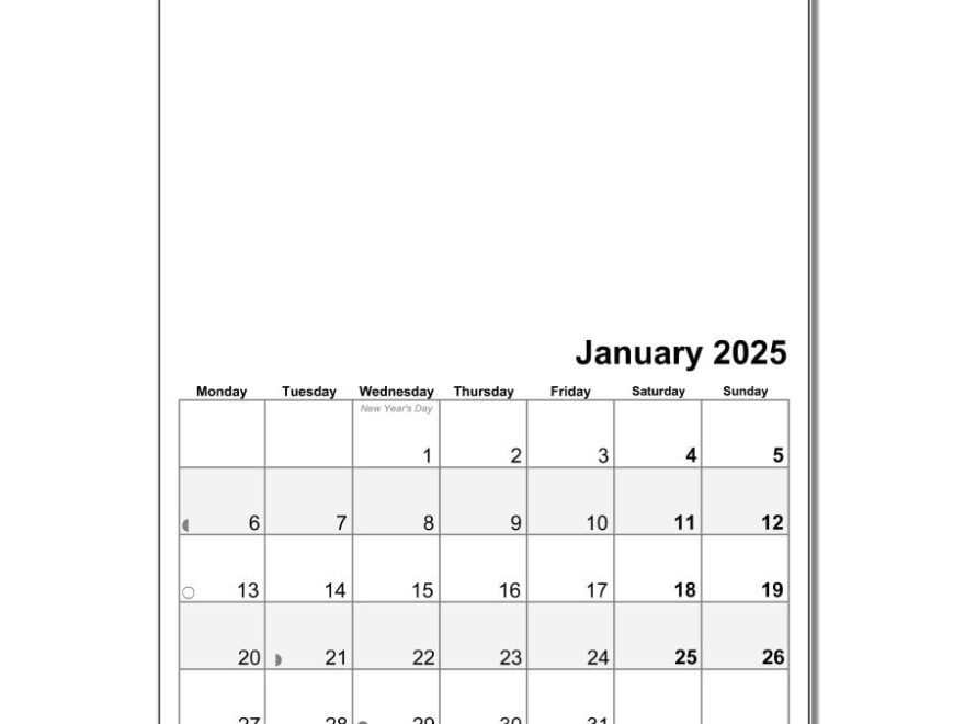 A4 Wire Bound 2025 Blank Calendar Planner White Amazon co uk Stationery Office Supplies