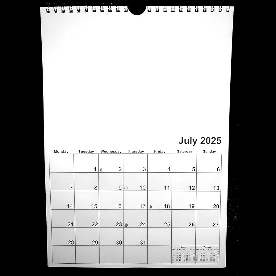 A4 Wire Bound 2025 Blank Calendar Planner White Amazon co uk Stationery Office Supplies
