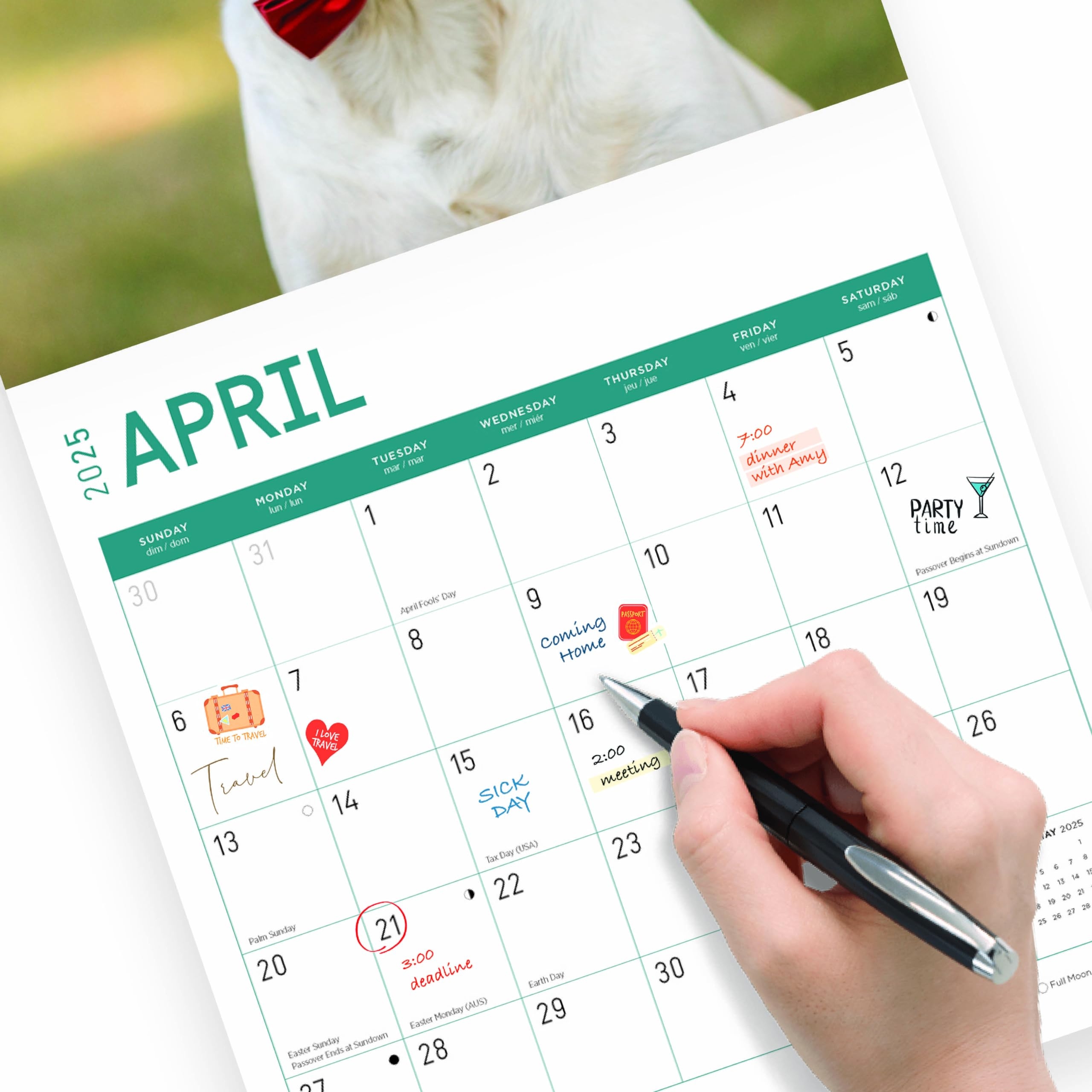 Amazon Bright Day Calendars 2025 Yellow Labs Monthly Wall Calendar Cute Dog Breed Gift 12 X 12 Inch Baby