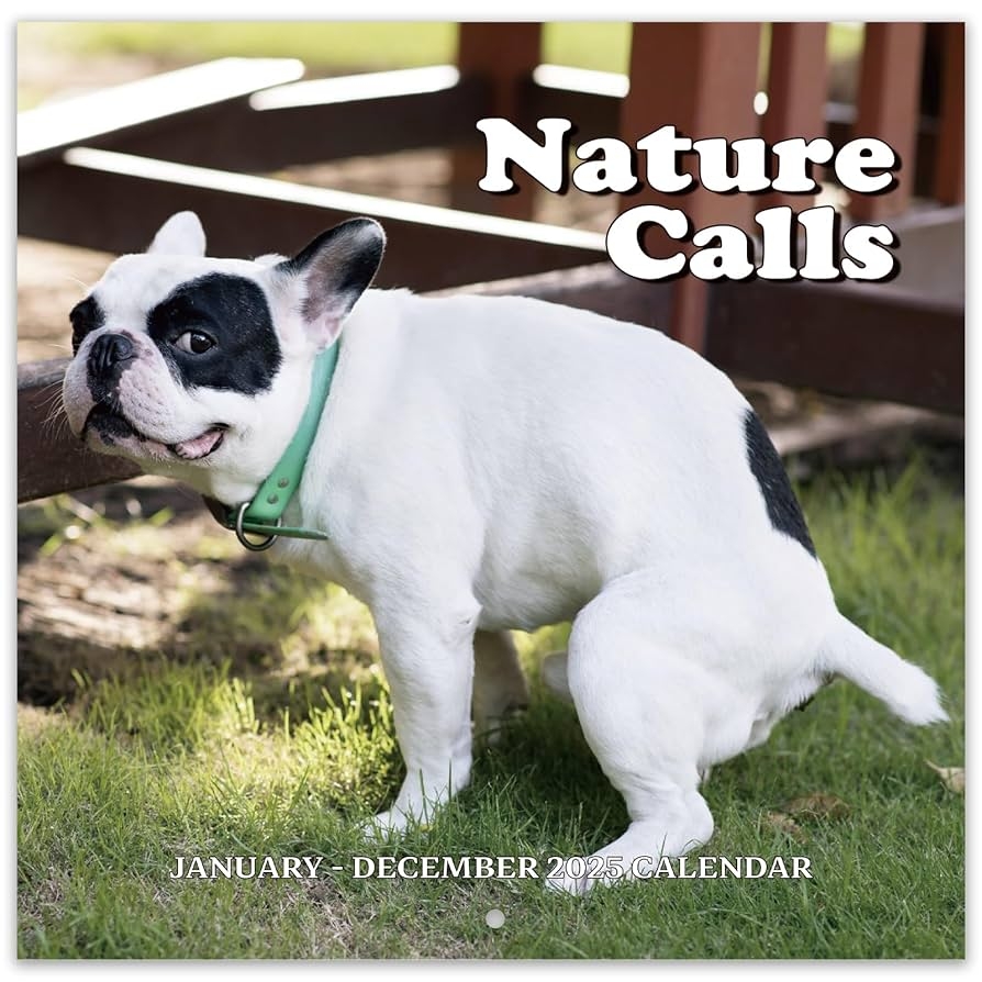 Amazon Gag Gifts 2025 Wall Calendar Funny Gag Gifts White Elephants Gifts Dogs Pooping Calendar 2025 Dogs Pooping In Beautiful Places Calendar 2025 Stupid Gifts Jan 2025 Dec 2025 Funny Gifts