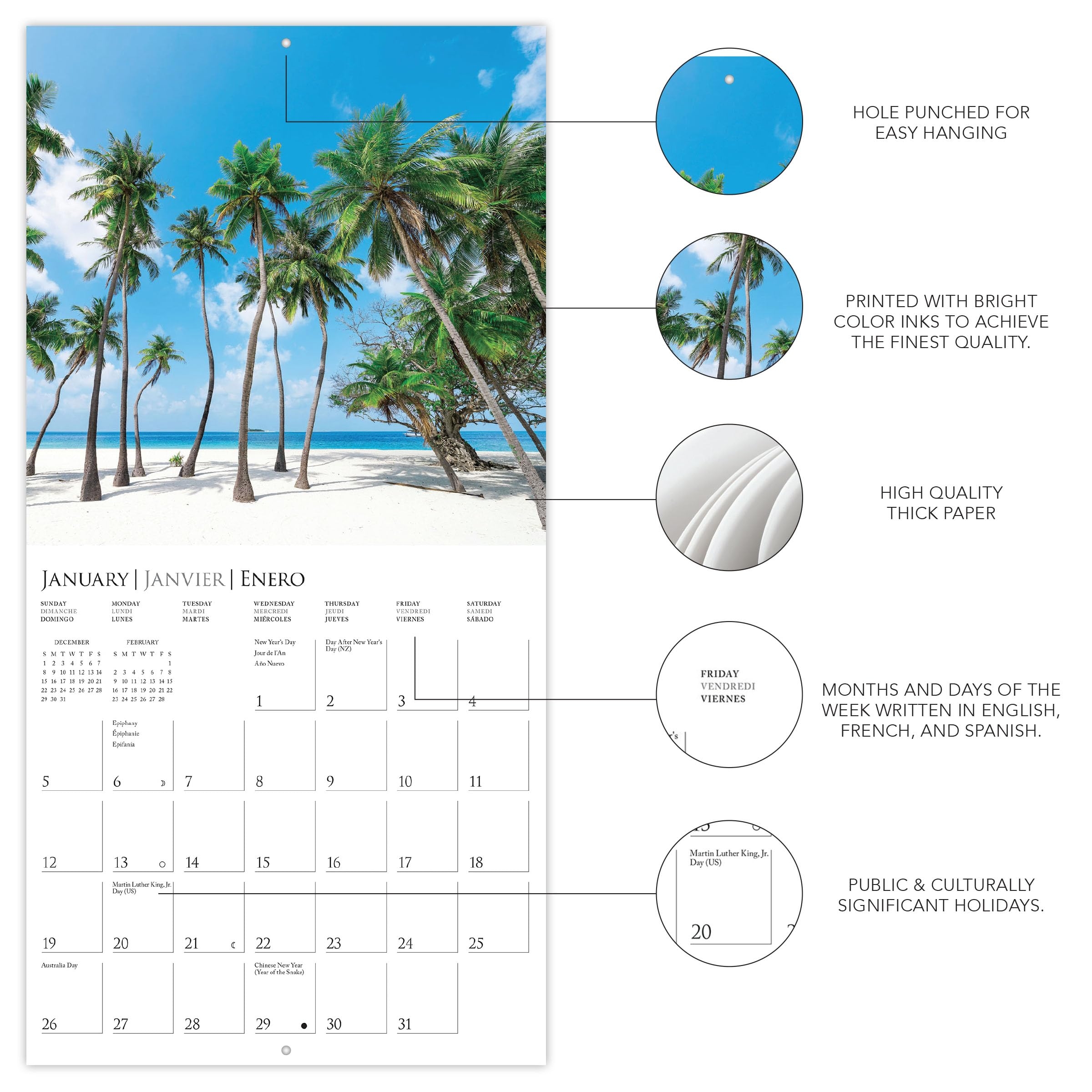 Amazon Graphique 2025 Island Paradise Mini Wall Calendar 7 X 7 Thick Paper Home Office Organizer Large Monthly Grid 3 Languages Marked Holidays 4 Month Preview Page For 2026