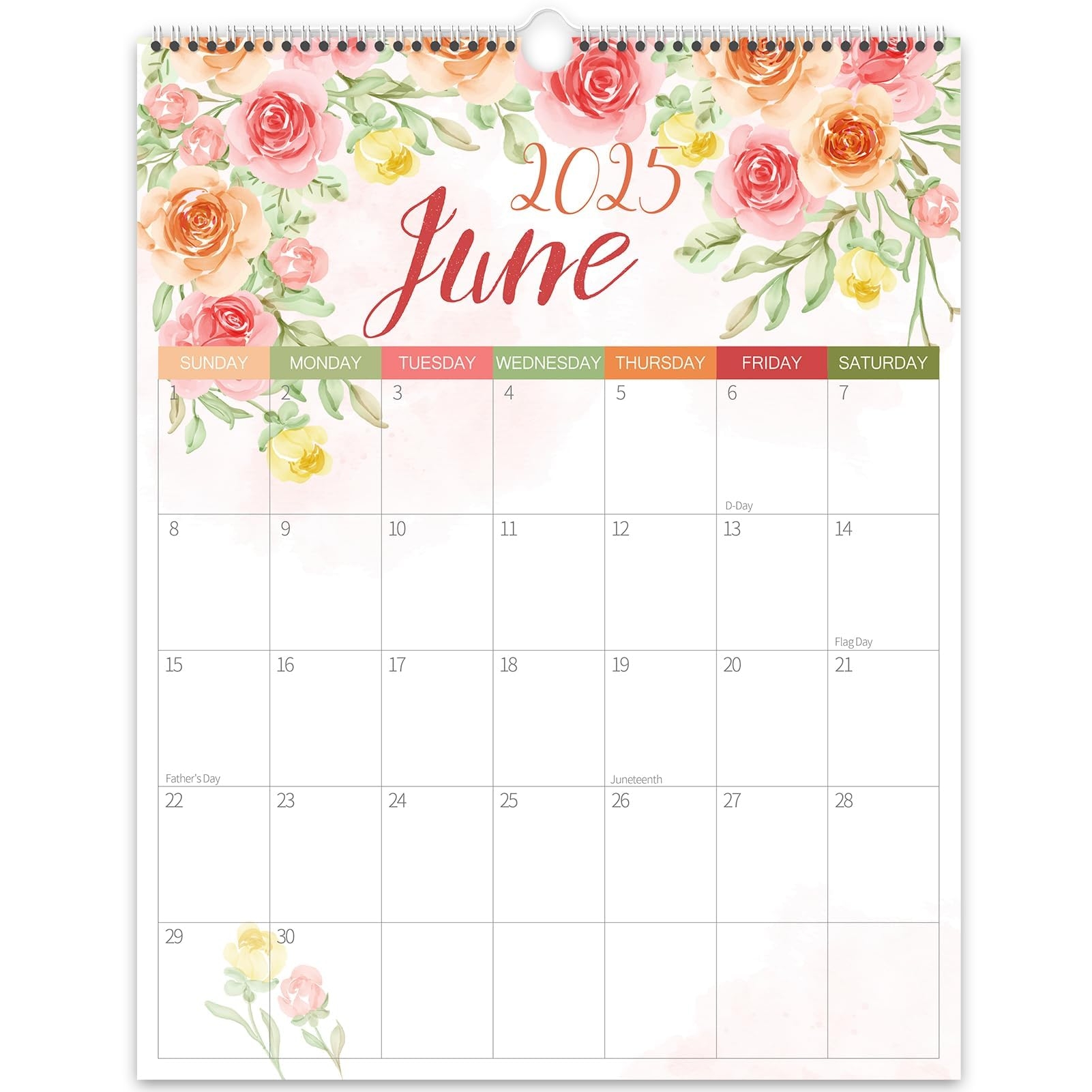 Amazon Guasslee Wall Calendar 2025 26 2025 Wall Calendar 19 Month Academic Desktop PlannerFrom Jun 2025 Dec 2026 14 X 11 Monthly Planner With Corner Protectors Thick Paper For Home School Office Office Products