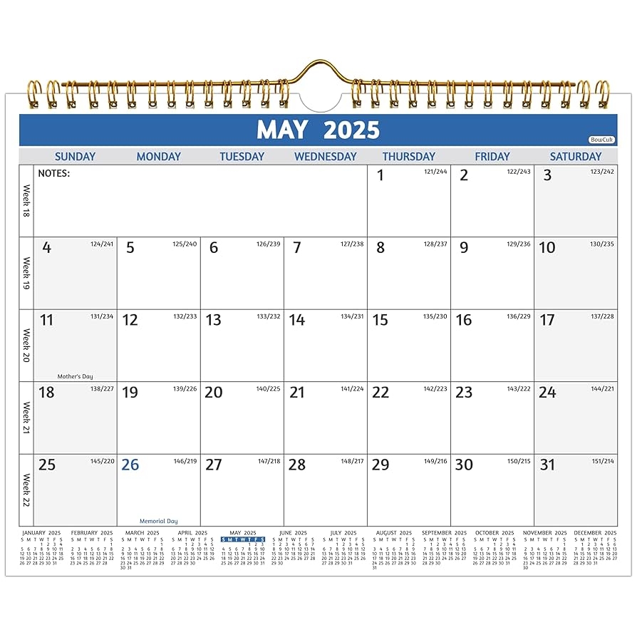 Amazon Wall Calendar 2025 2026 May 2025 Dec 2026 20 Months Calendar 2025 2026 11 X 8 5 In Small Monthly Calendar For Wall With Thick Paper Holidays Julian Dates Notes Colorful Design Office Products