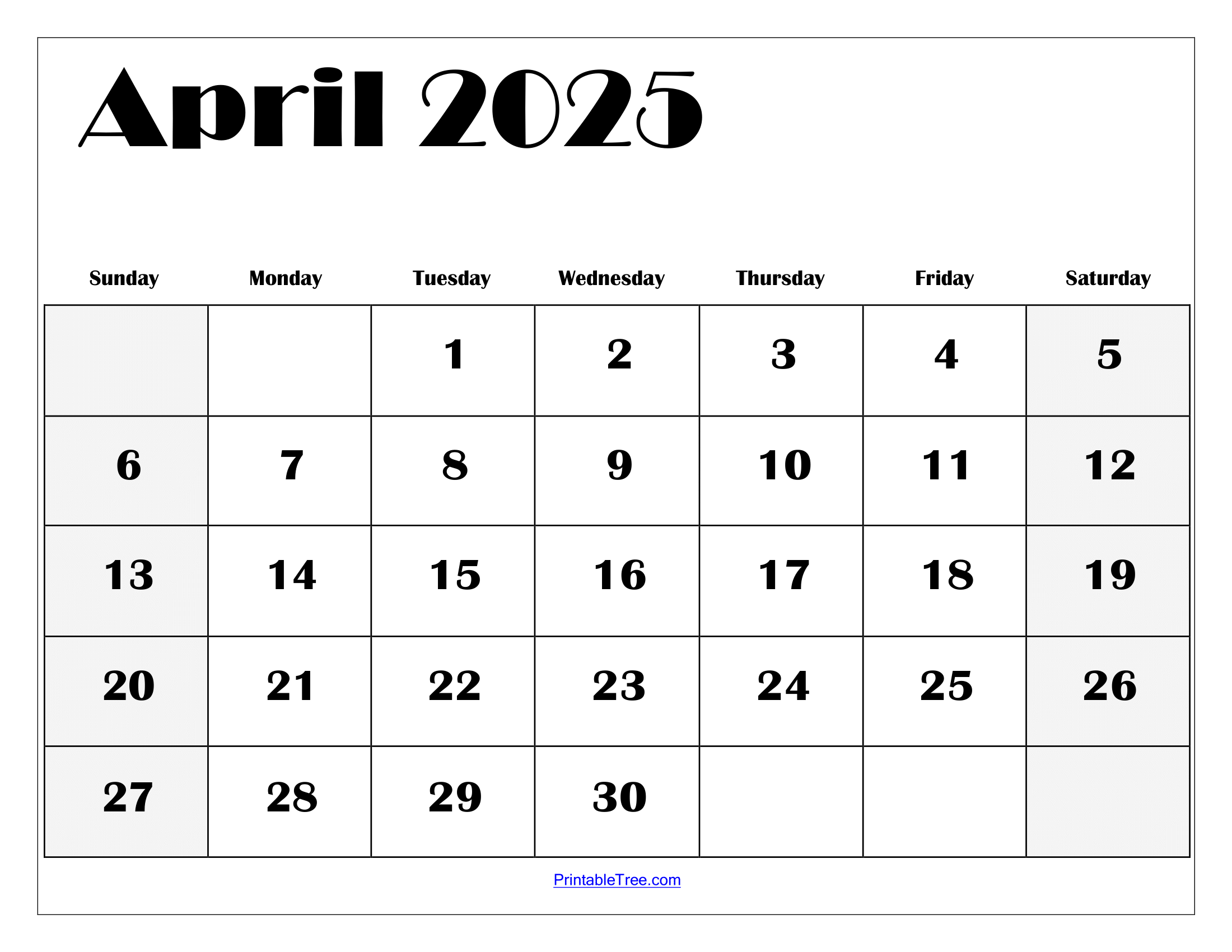 Blank 2025 Monthly Calendar Template