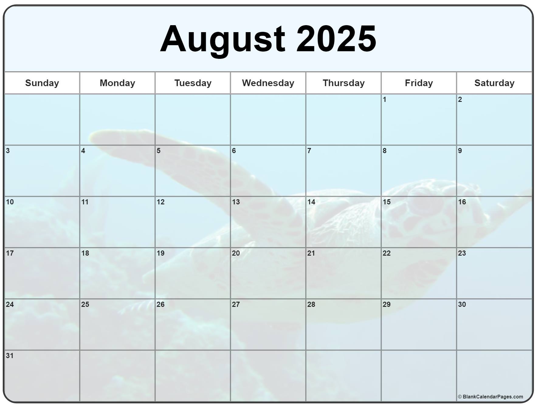 Collection Of August 2025 Photo Calendars With Image Filters 
