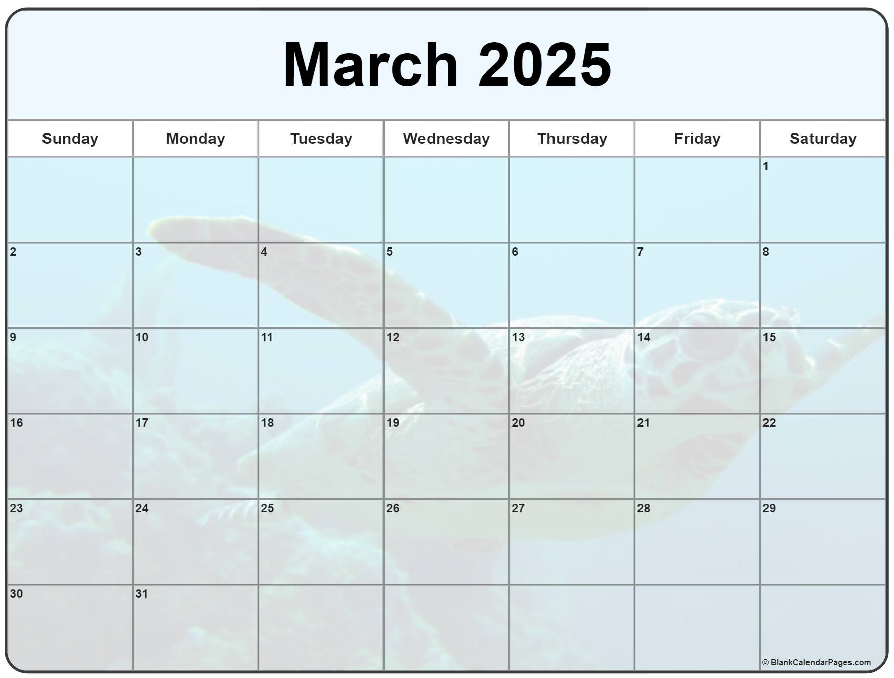 Collection Of March 2025 Photo Calendars With Image Filters 