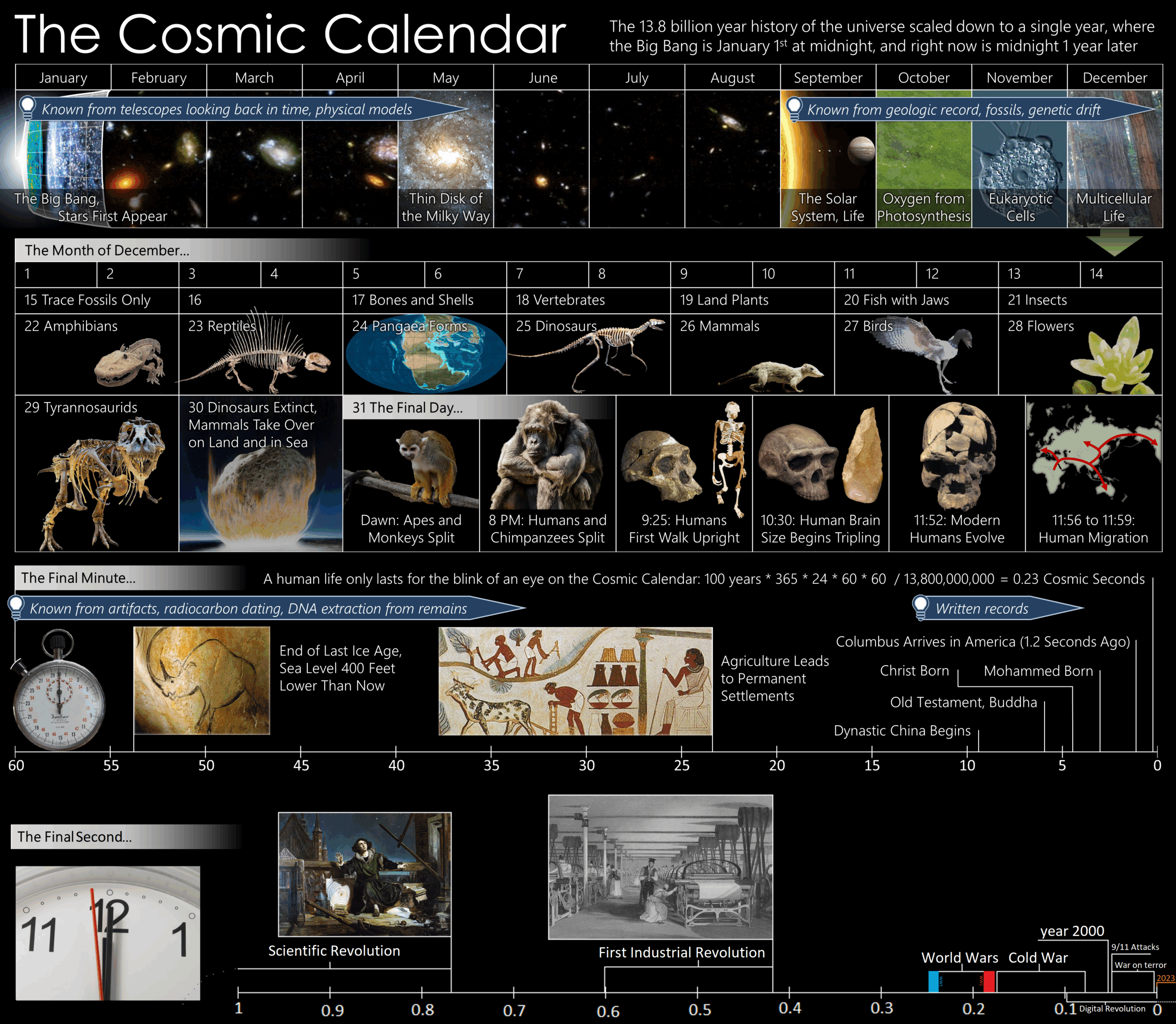 Cosmic Calendar Wikipedia