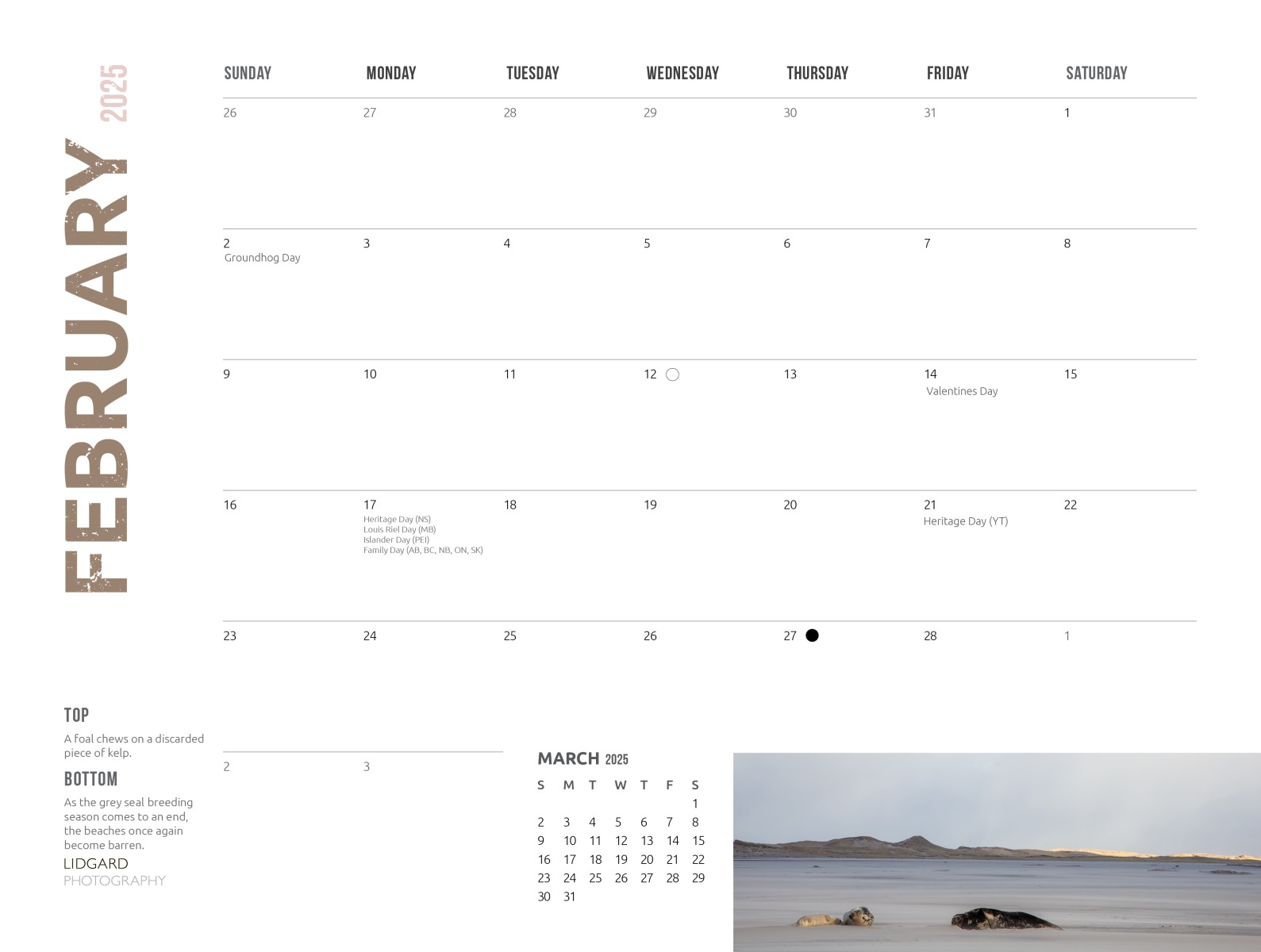 Past Calendars Lidgard Photography Of Sable Island