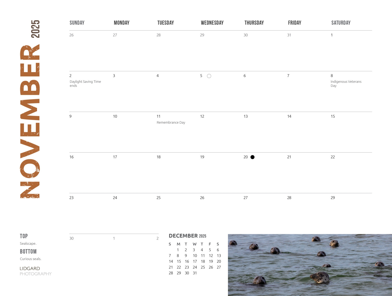 Blank 20258 Monthly Calendar