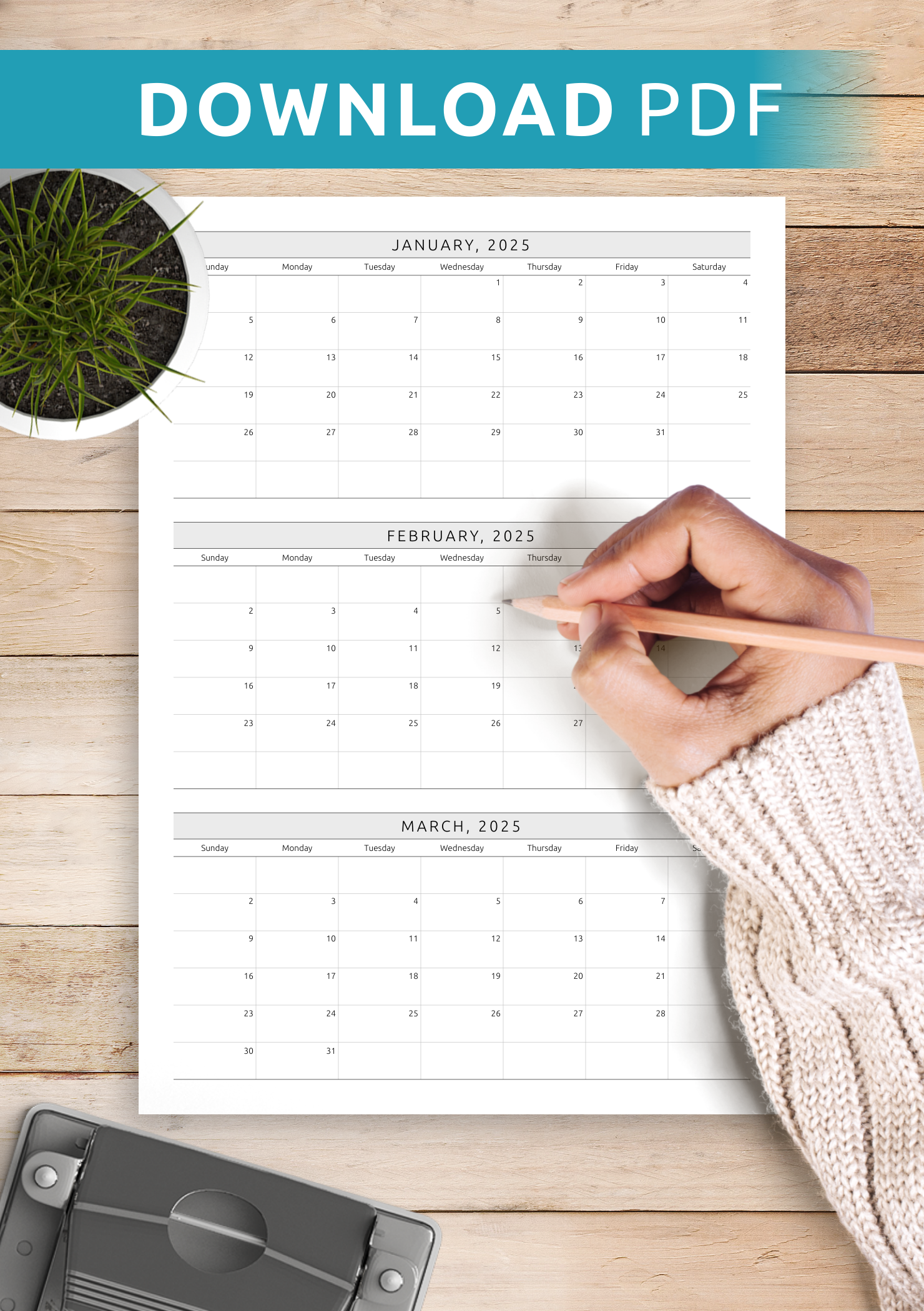 Quarterly Calendar Template Plan 3 Months In One PDF View