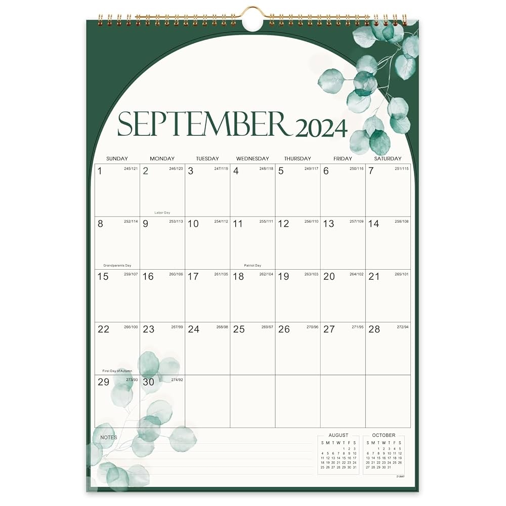 Tersus 2024 2025 Wall Calendar 2025 2024 Calendar From SEP 2024 DEC 2025 17 X 12 16 Months Large Wall Calendar 2024 2025 With Twin Wire Binding Blank Block Buy Online At Best Price In UAE Amazon ae